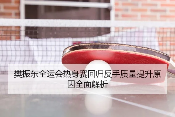 樊振东全运会热身赛回归反手质量提升原因全面解析
